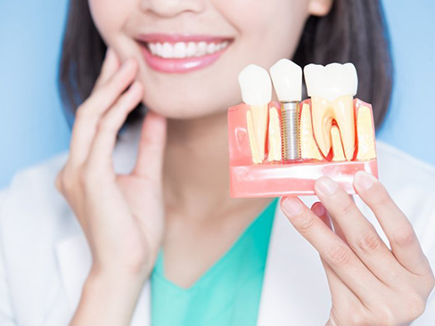 dentist holding model of dental implant in jaw